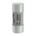 Eaton Bussmann Series Low Voltage Cylindrical Fuse C22G63 image 1
