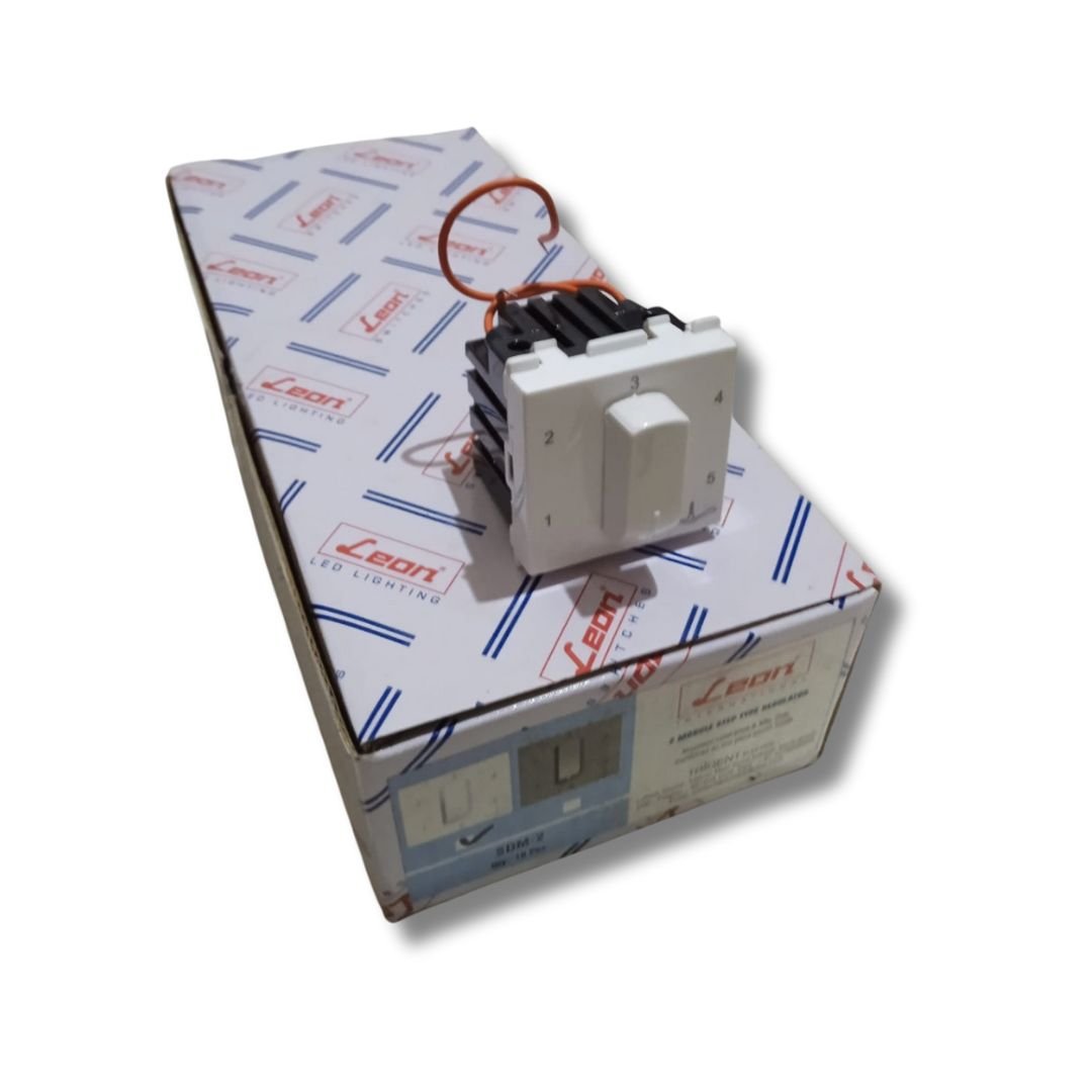 Leon_Brand_2_Module_Step_Type_Regulator_SDM-2_On_leftside_Closed_box