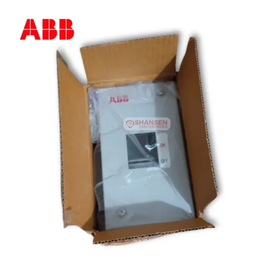 ABB E-SEN 2P Metal Distribution Board in Open Packaging – Shansen Enterprises India